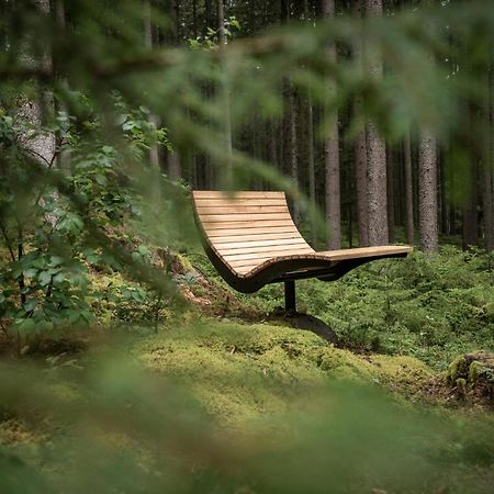 Forstgut - Premium Waldchalets Und Lodge Suiten 雷根 外观 照片