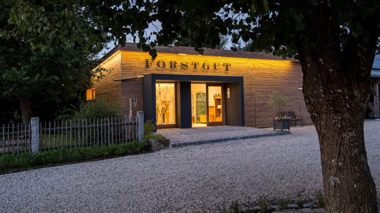 Forstgut - Premium Waldchalets Und Lodge Suiten 雷根 外观 照片