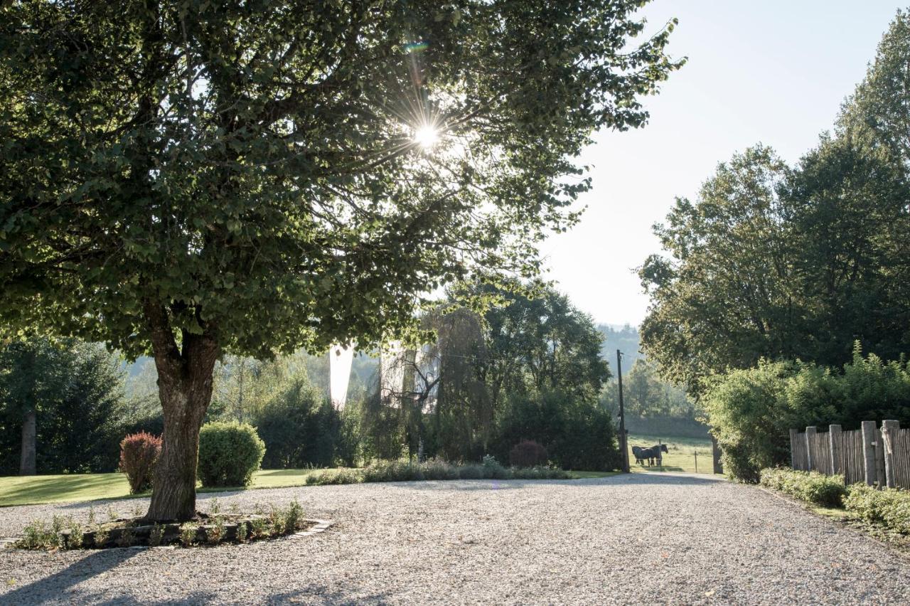 Forstgut - Premium Waldchalets Und Lodge Suiten 雷根 外观 照片