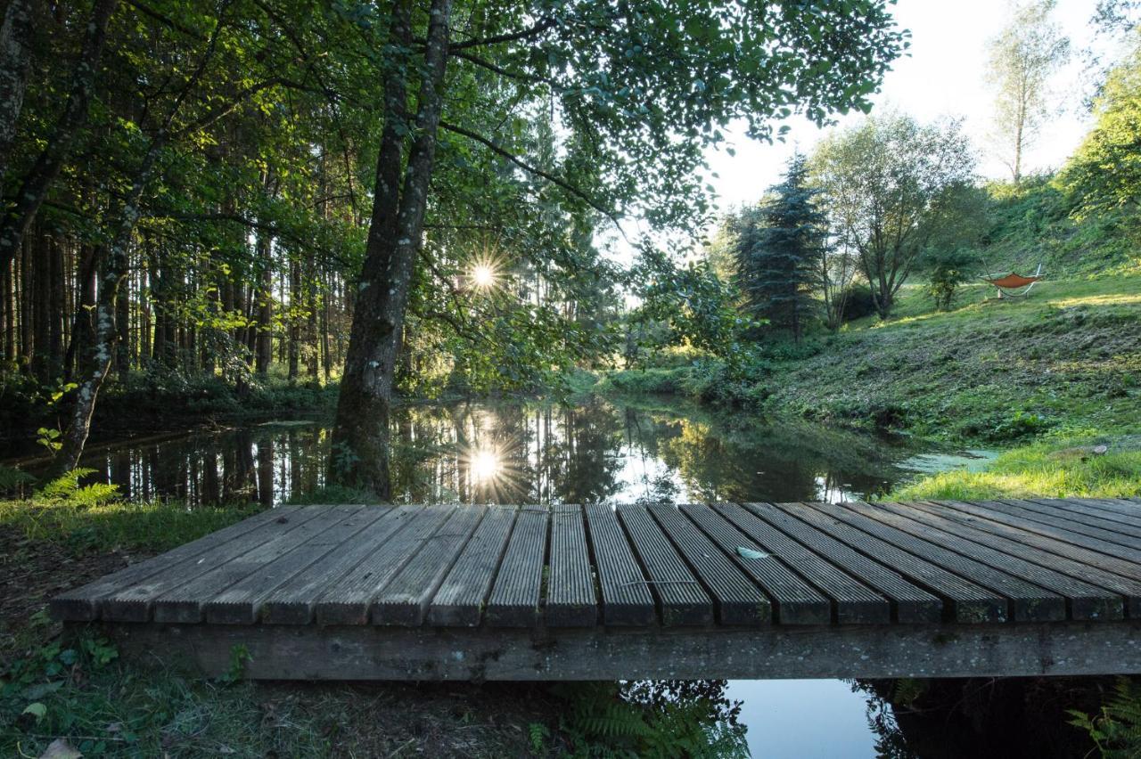 Forstgut - Premium Waldchalets Und Lodge Suiten 雷根 外观 照片